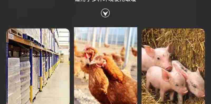 设计:王连香